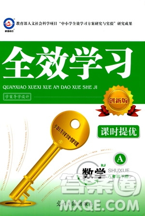 2019年全效學(xué)習(xí)課時(shí)提優(yōu)A版八年級(jí)數(shù)學(xué)下冊(cè)人教版創(chuàng)新版參考答案