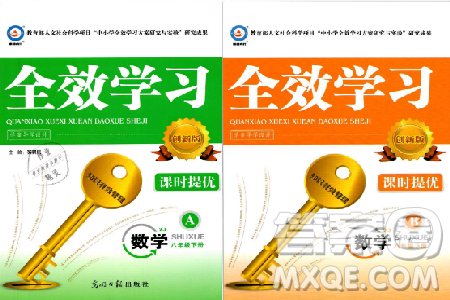 2019年全效學習八年級數(shù)學下冊浙教版創(chuàng)新版答案