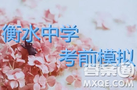 2019年衡水中學(xué)終極押題卷文綜試題及答案