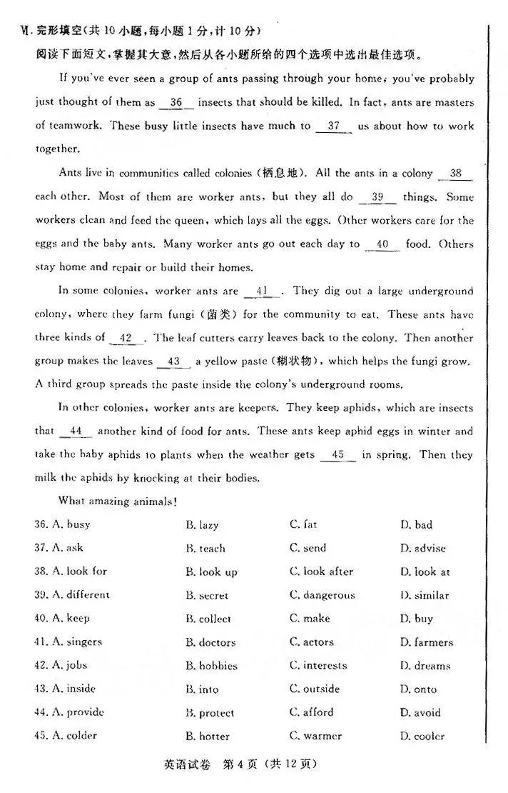 2019年河北省初中畢業(yè)班升學(xué)文化課模擬考試二英語試題及答案