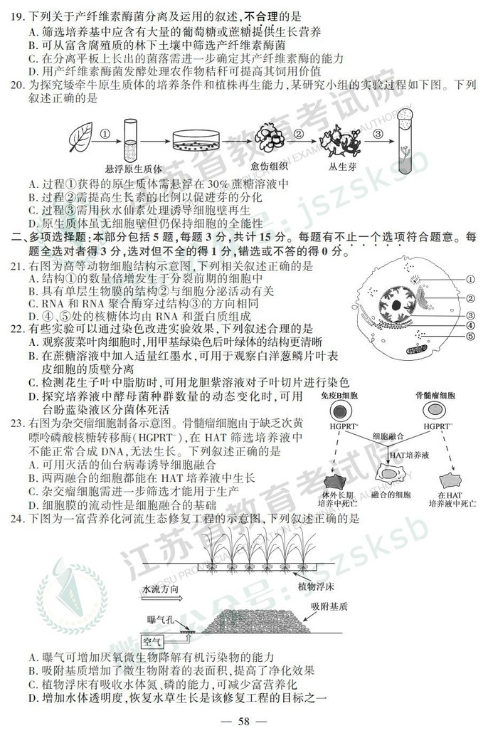 2019年高考江蘇卷生物試題及答案