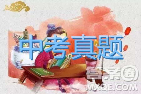 2019年浙江省金華市中考科學(xué)試題及答案