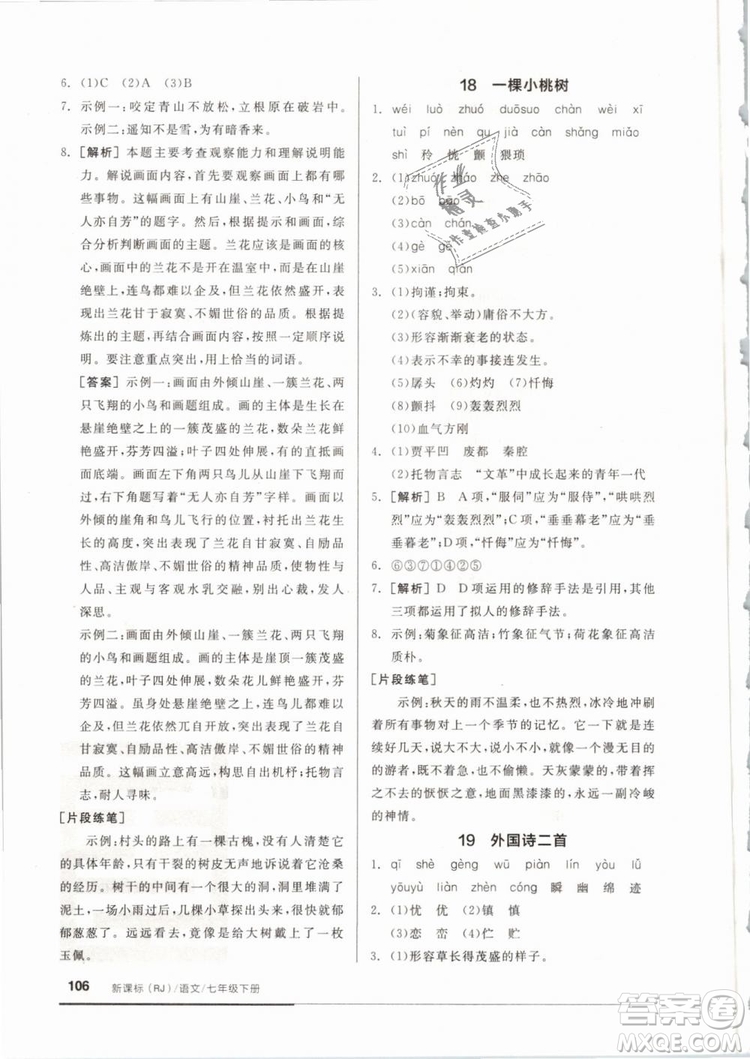 2019年全品基礎(chǔ)小練習(xí)七年級下冊語文人教版RJ參考答案