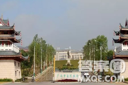 2020高考488分左右能上什么大學(xué) 488分文理科能報(bào)哪些學(xué)校