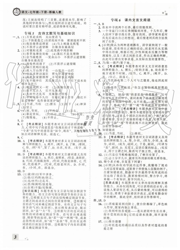 2019年王朝霞各地期末試卷精選七年級(jí)語(yǔ)文下冊(cè)人教版河南專版答案