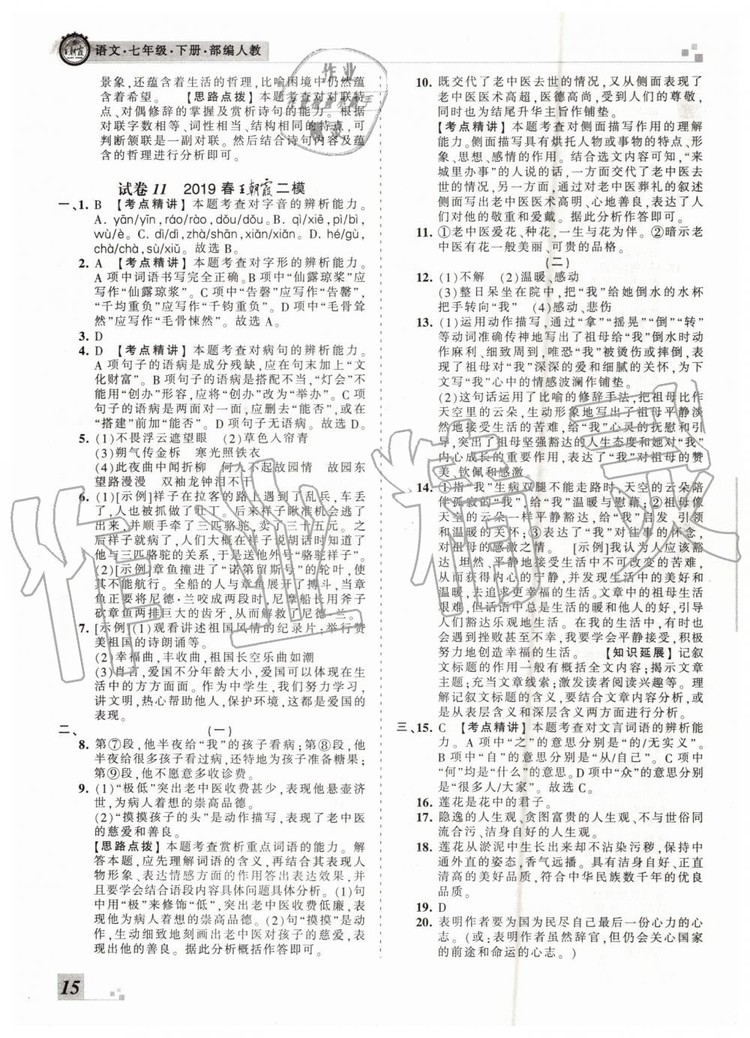 2019年王朝霞各地期末試卷精選七年級(jí)語(yǔ)文下冊(cè)人教版河南專版答案