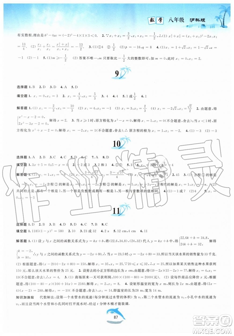 黃山書社2019版暑假作業(yè)八年級數(shù)學滬科版參考答案