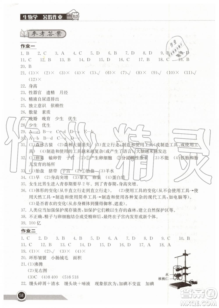 2019年長(zhǎng)江作業(yè)本暑假作業(yè)生物學(xué)七年級(jí)參考答案