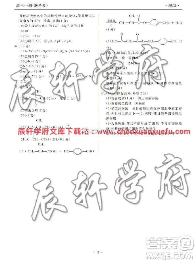 河北衡水中學(xué)2020屆新高三聯(lián)考卷一調(diào)理綜參考答案