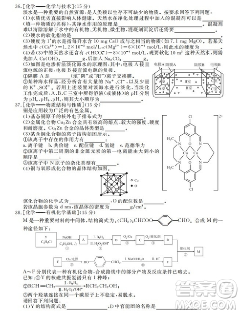 河北衡水中學(xué)2020屆新高三聯(lián)考卷一調(diào)理綜參考答案