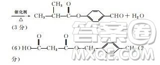 河北衡水中學(xué)2020屆新高三聯(lián)考卷一調(diào)理綜參考答案