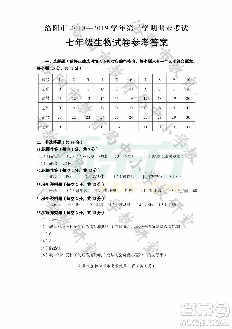 2019年洛陽(yáng)初中七年級(jí)道德與法治地理生物期末考試答案