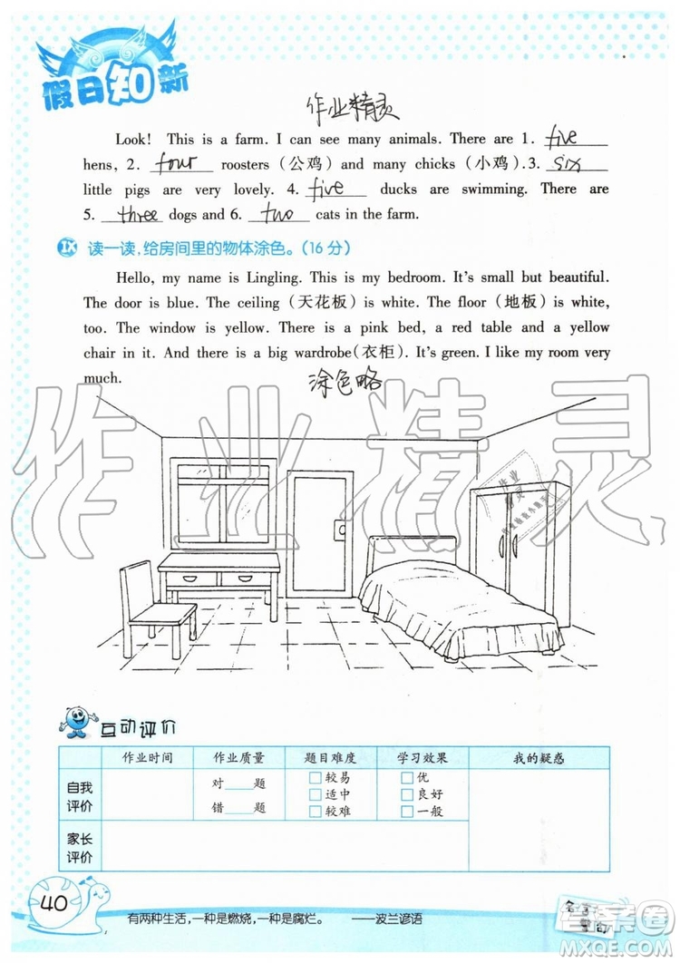 暑假學(xué)習(xí)與生活2019年假日知新四年級英語學(xué)習(xí)版參考答案