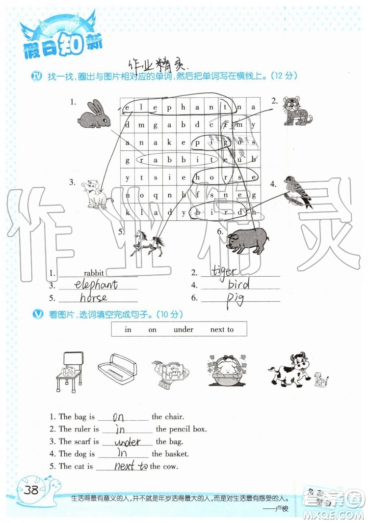 暑假學(xué)習(xí)與生活2019年假日知新四年級英語學(xué)習(xí)版參考答案