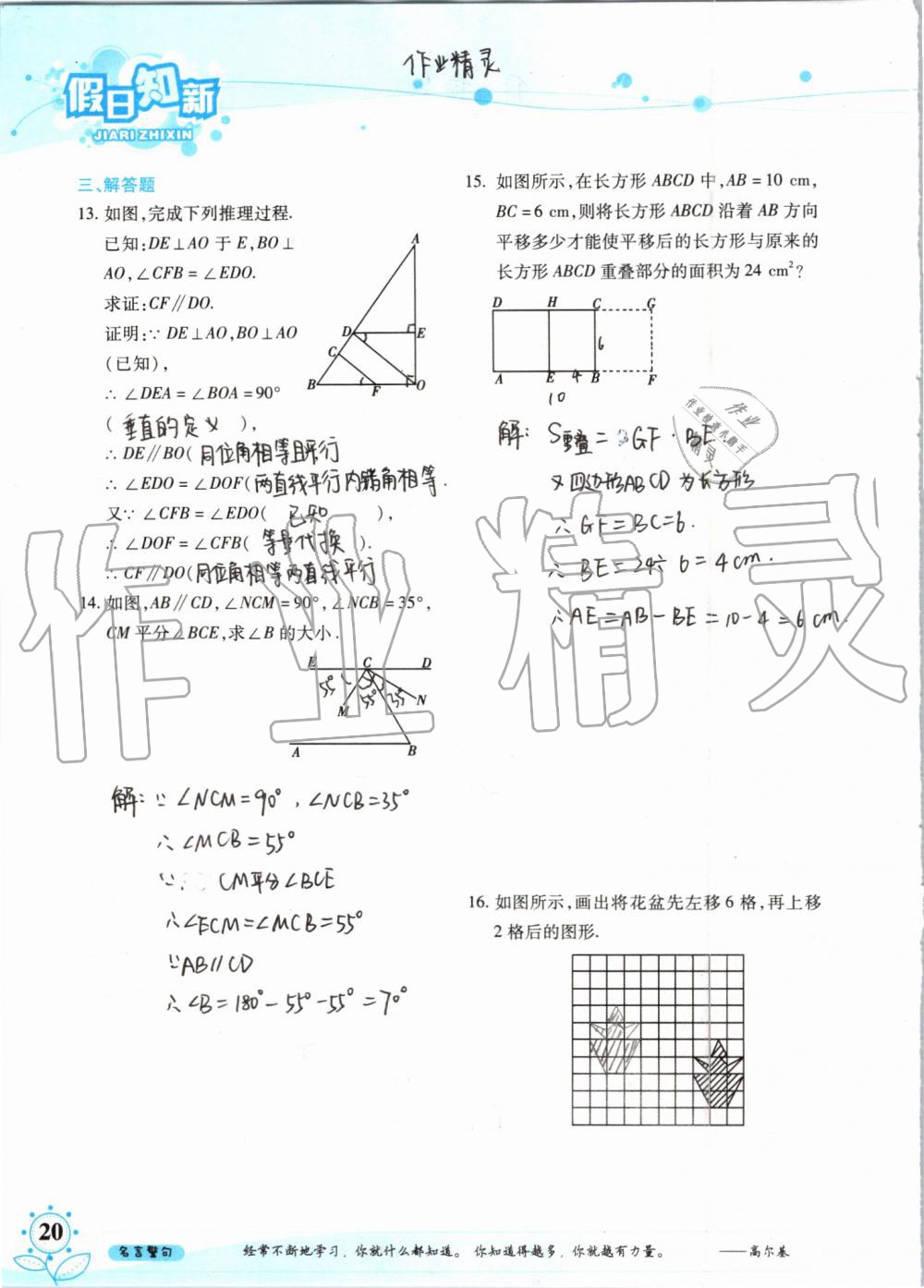 暑假學(xué)習(xí)與生活2019年假日知新七年級(jí)數(shù)學(xué)學(xué)習(xí)版參考答案