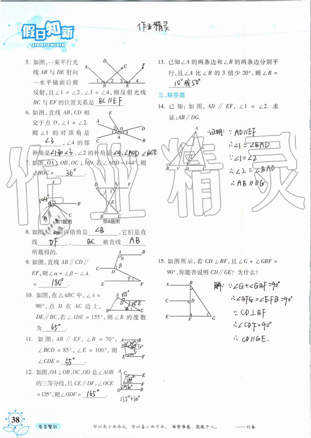 暑假學(xué)習(xí)與生活2019年假日知新七年級(jí)數(shù)學(xué)學(xué)習(xí)版參考答案