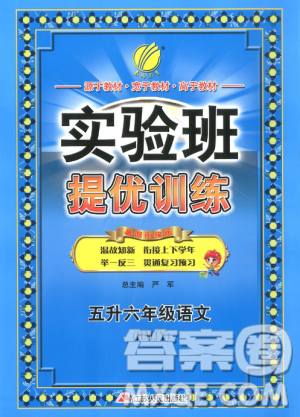 2019春雨教育實(shí)驗(yàn)班提優(yōu)訓(xùn)練五升六年級(jí)語(yǔ)文人教版RMJY暑假銜接答案