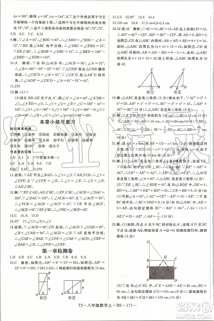 北師大版2019年優(yōu)翼學練優(yōu)八年級數(shù)學上冊參考答案