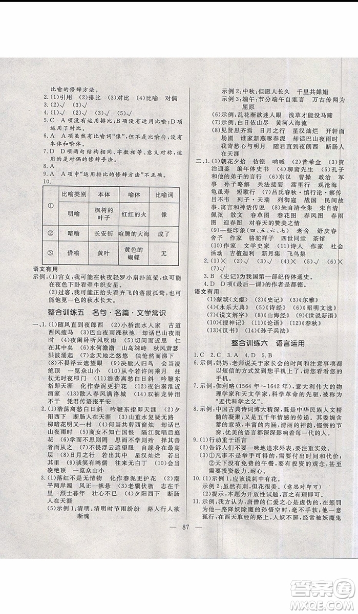 2019年高效A計(jì)劃期末暑假銜接七年級(jí)語文人教版RJ參考答案