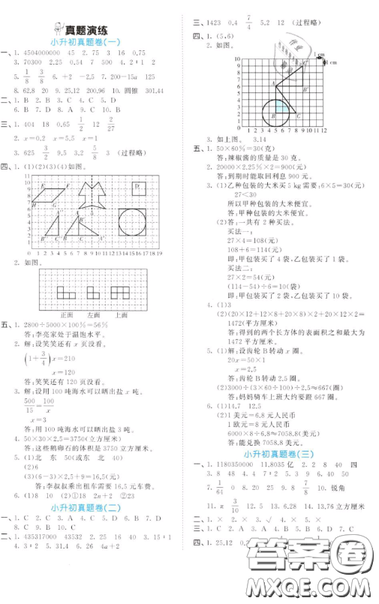 2019小學數學53小升初總復習考前講練測參考答案