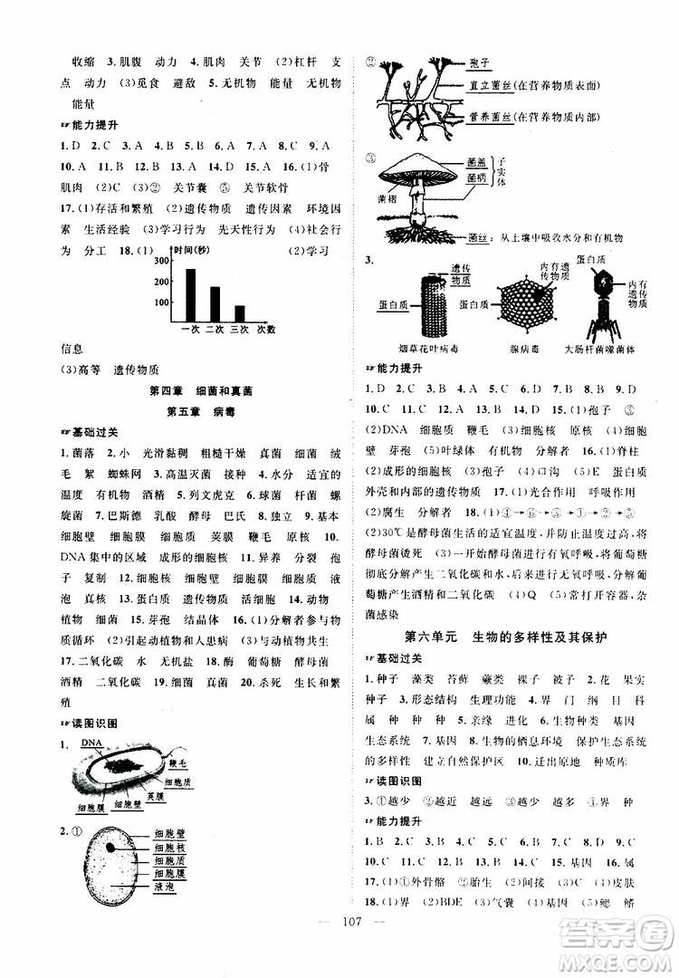 萬羽文化2019年秋生物名師學(xué)案分層進(jìn)階學(xué)習(xí)法八年級上冊參考答案