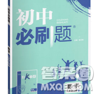 2019年新版初中必刷題八年級上冊數(shù)學(xué)人教版答案