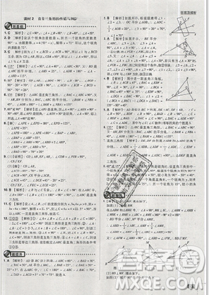 2019年新版初中必刷題八年級上冊數(shù)學(xué)人教版答案