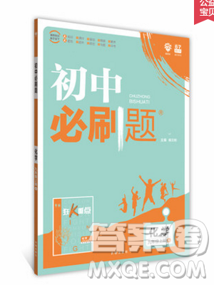 2019新版初中必刷題九年級上冊化學(xué)RJ版答案