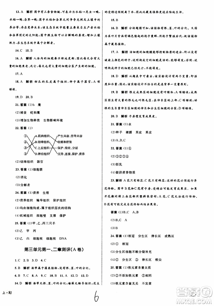 2019年優(yōu)化設(shè)計單元測試卷七年級上冊生物RJ人教版參考答案