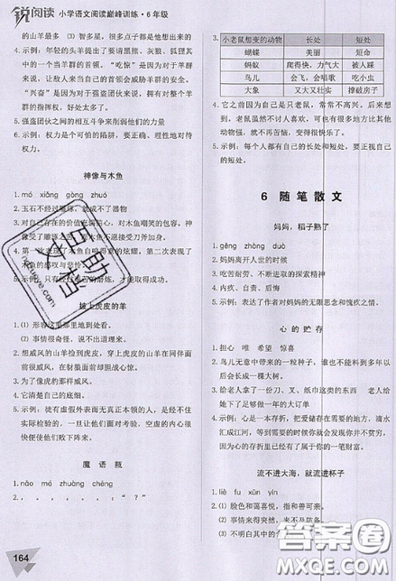 文化發(fā)展出版社2019銳閱讀小學(xué)語文閱讀巔峰訓(xùn)練六年級參考答案