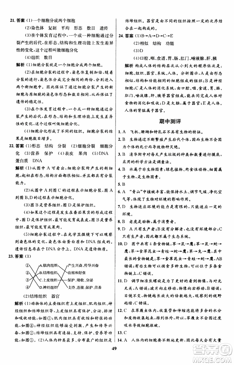 2019年初中同步學(xué)考優(yōu)化設(shè)計(jì)生物七年級(jí)上冊RJ人教版參考答案