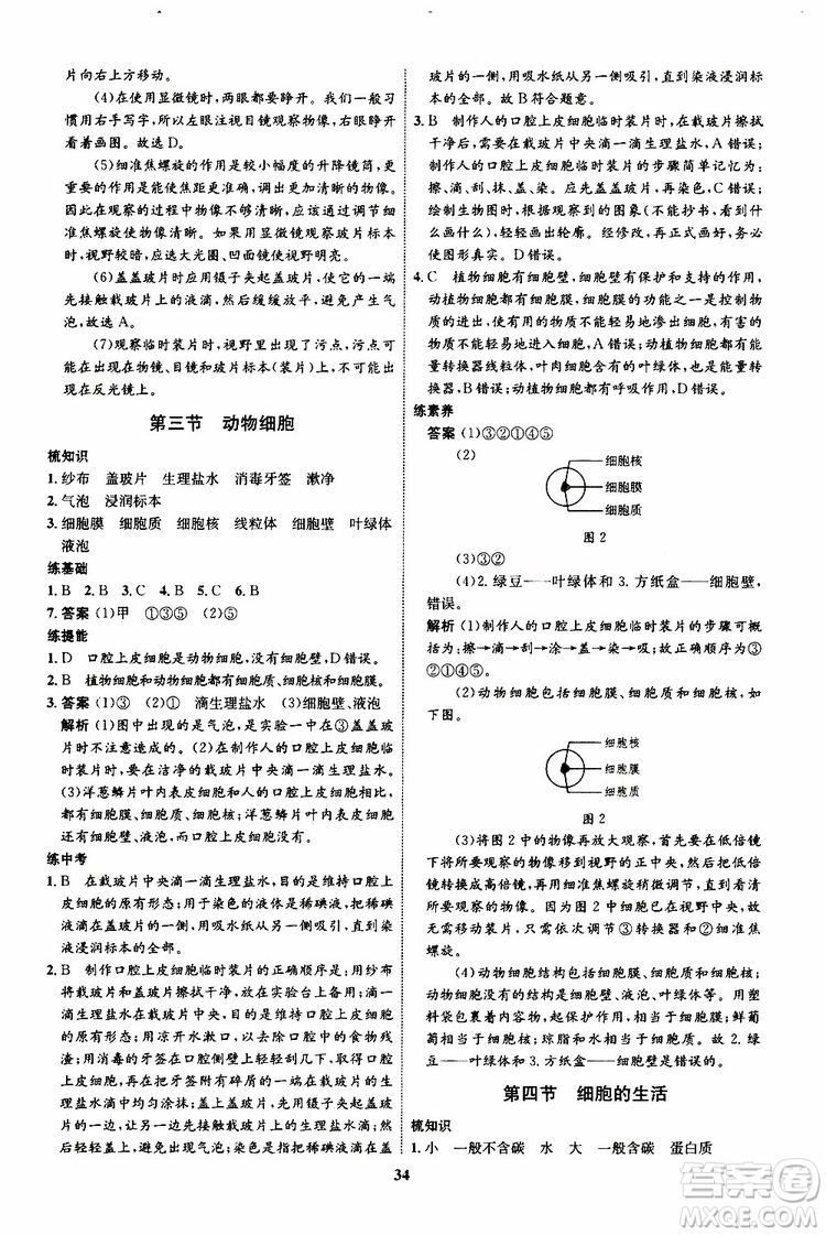 2019年初中同步學(xué)考優(yōu)化設(shè)計(jì)生物七年級(jí)上冊RJ人教版參考答案