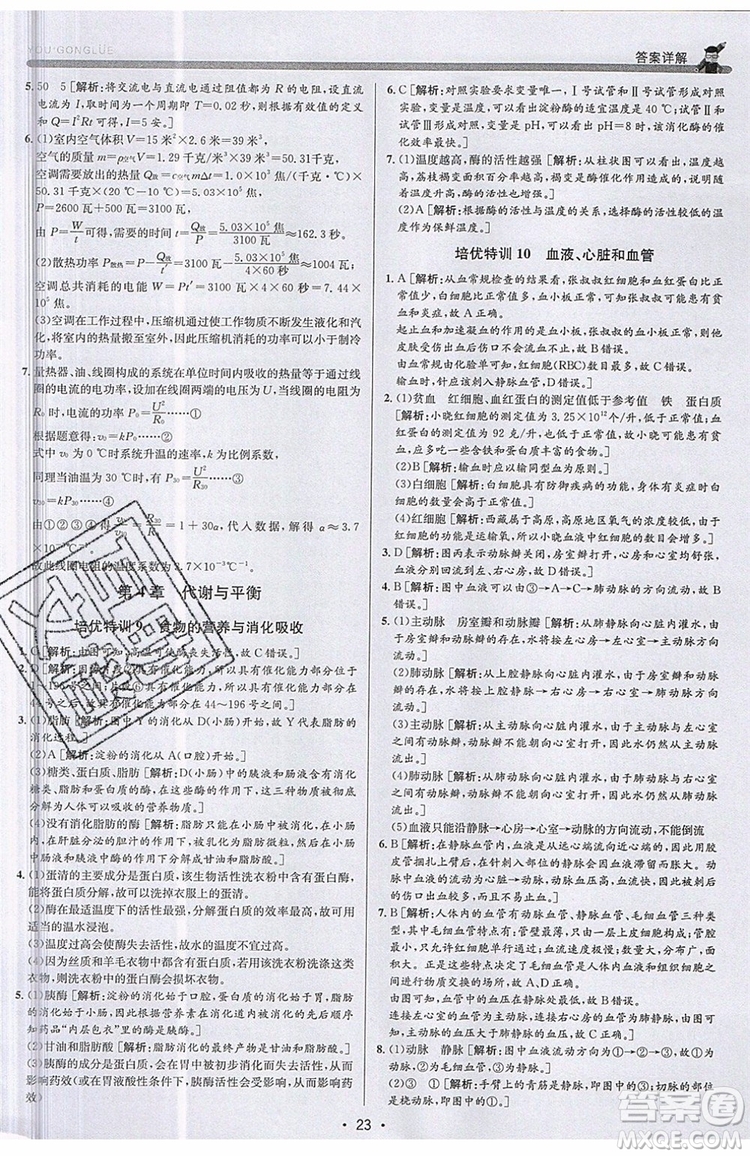 2019新版優(yōu)+攻略銜接中考版九年級科學全一冊ZJ浙教版參考答案