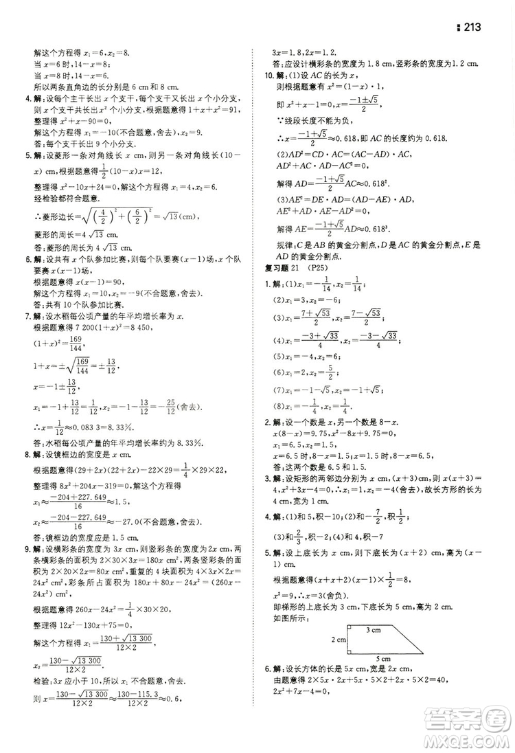 湖南教育出版社2020一本同步訓(xùn)練九年級(jí)數(shù)學(xué)上冊(cè)人教大版答案