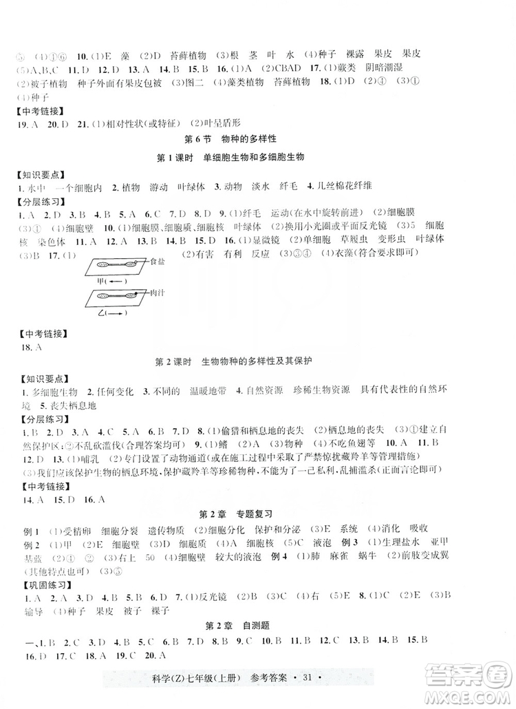 浙江工商大學(xué)出版社2019習(xí)題e百課時(shí)訓(xùn)練七年級(jí)科學(xué)上冊(cè)浙教B版答案