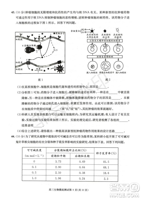 成都市2017級(jí)高中畢業(yè)班摸底測(cè)試生物試題及答案