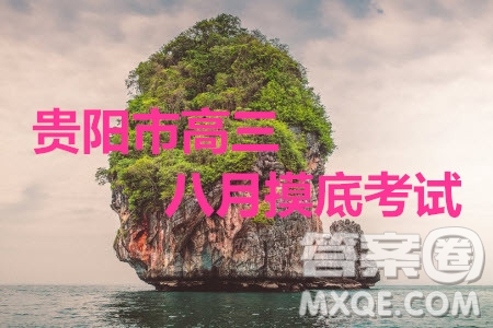 2020屆貴州省貴陽(yáng)市普通高中高三8月摸底考試語(yǔ)文試題及答案