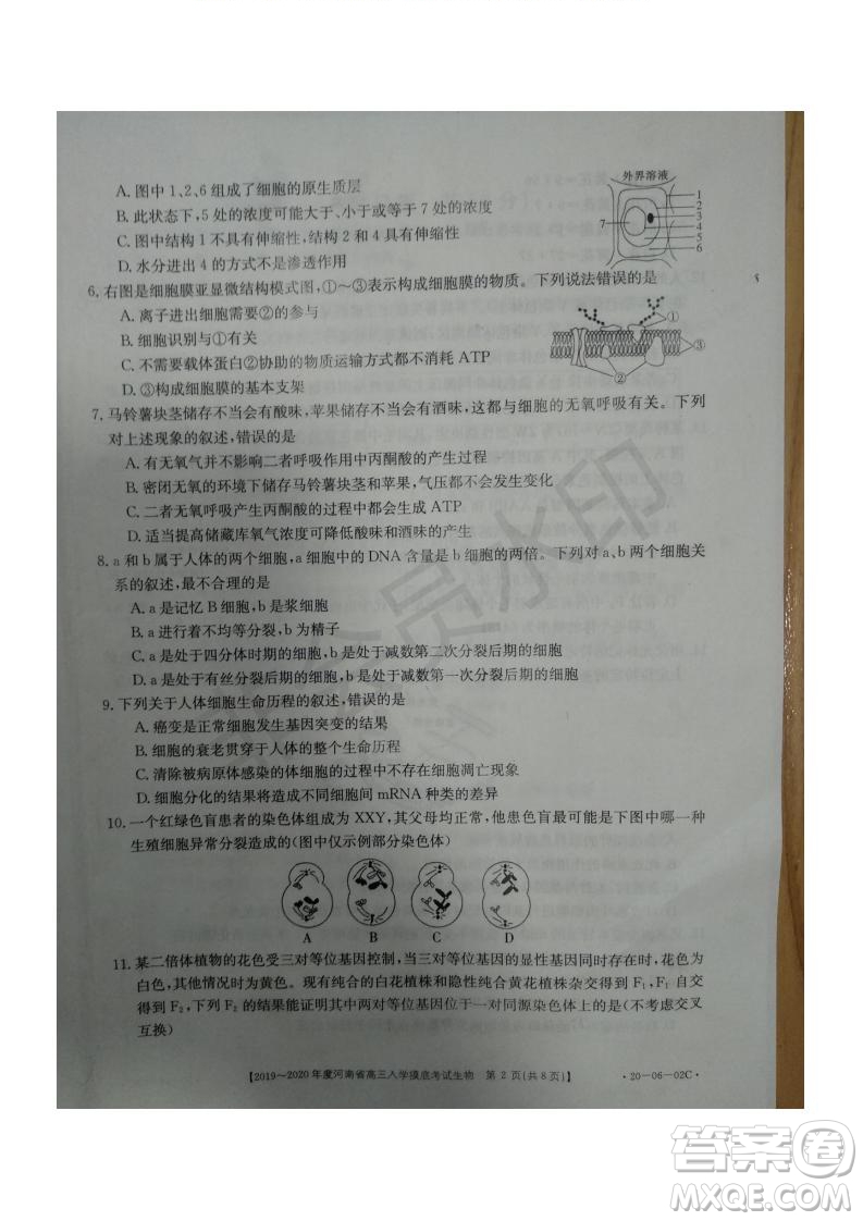 2019~2020年度河南省高三入學(xué)摸底考試生物試題及答案