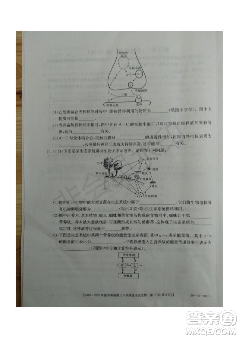 2019~2020年度河南省高三入學(xué)摸底考試生物試題及答案