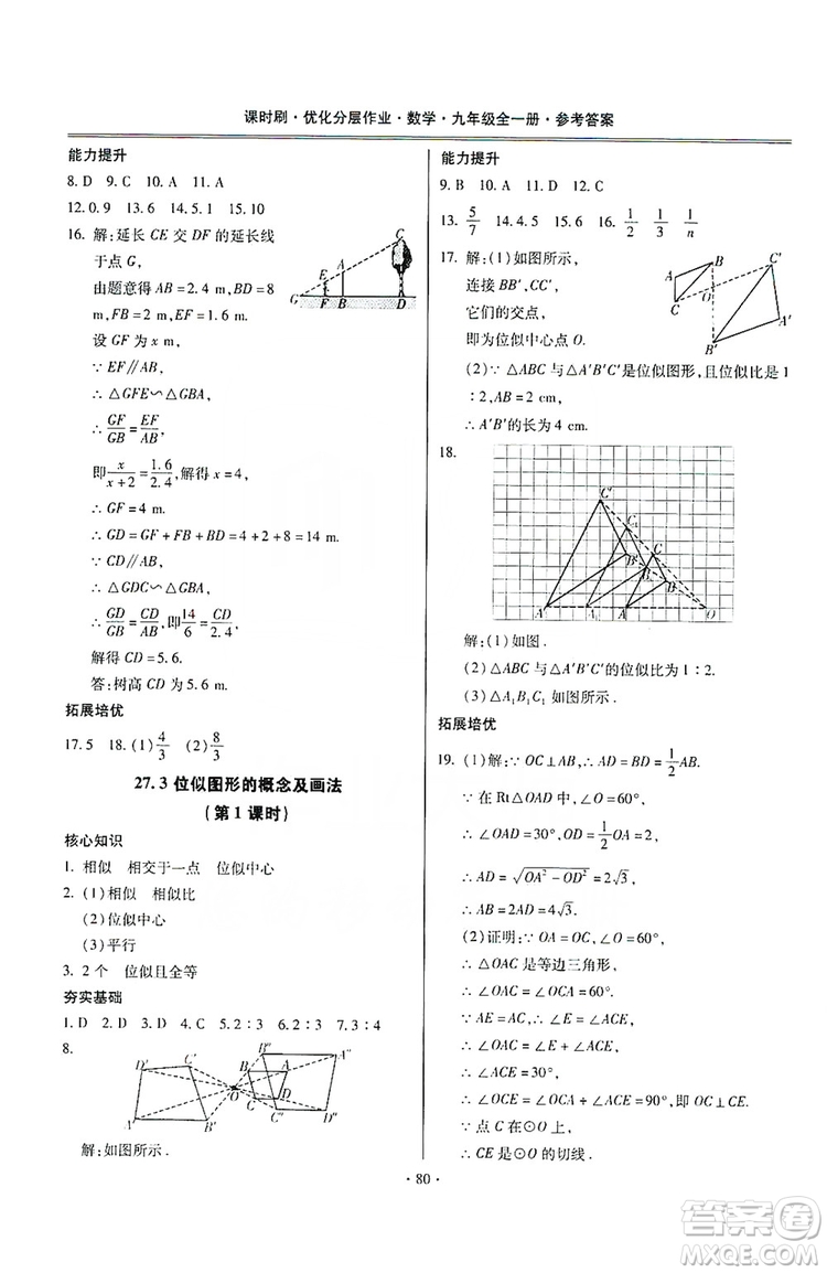 馳逐文化2019課時刷優(yōu)化分層作業(yè)九年級數(shù)學(xué)全一冊答案