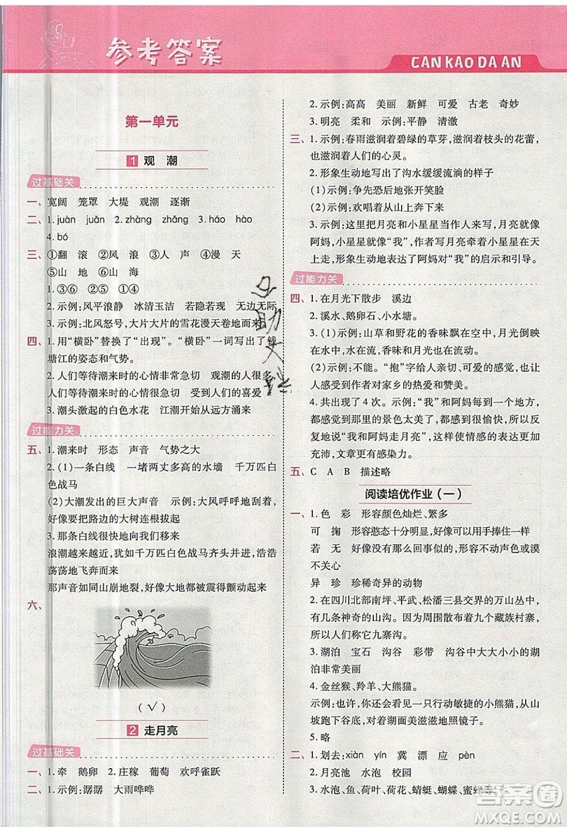 南京師范大學(xué)出版社天星教育2019一遍過小學(xué)語文四年級上冊人教RJ版參考答案