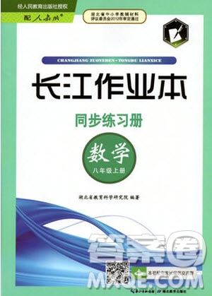 2019年長(zhǎng)江作業(yè)本同步練習(xí)冊(cè)數(shù)學(xué)八年級(jí)上冊(cè)人教版答案