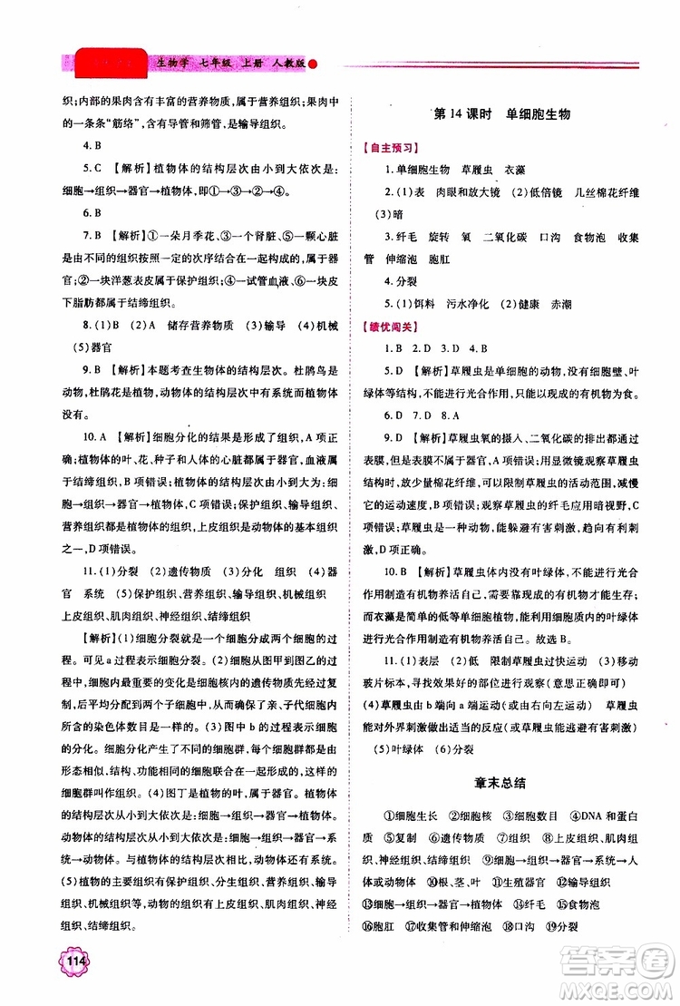 公告目錄教輔2019年績優(yōu)學(xué)案生物學(xué)七年級上冊人教版參考答案