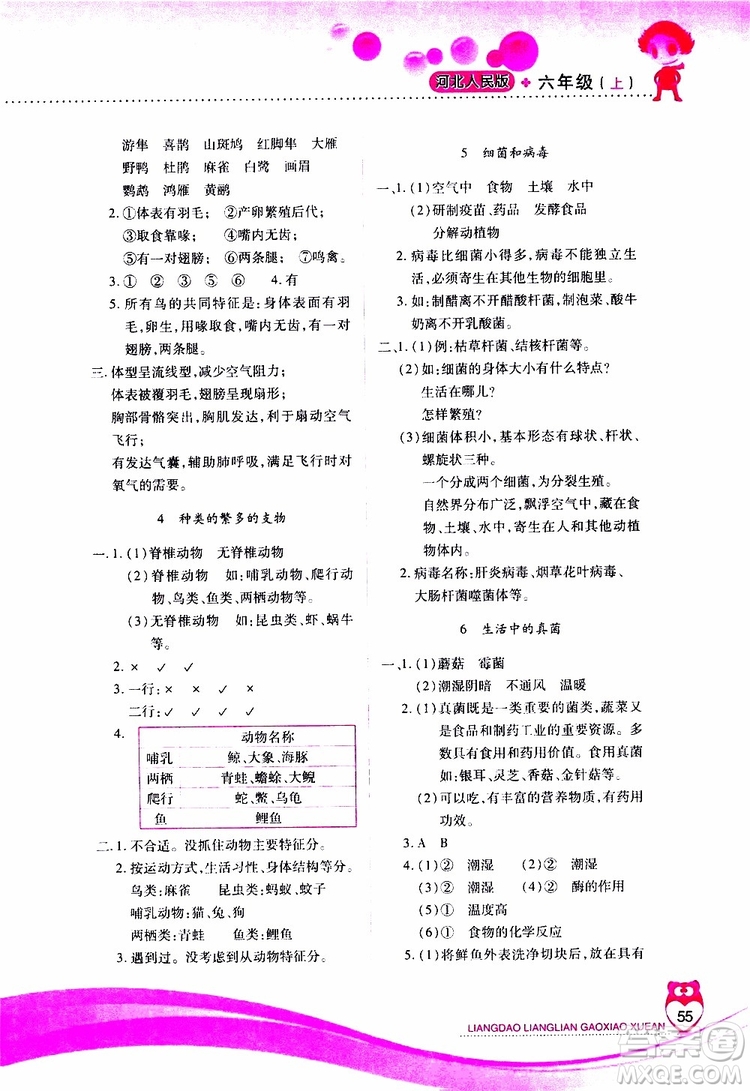 2019年新課標(biāo)兩導(dǎo)兩練高效學(xué)案科學(xué)六年級上冊河北人民版參考答案