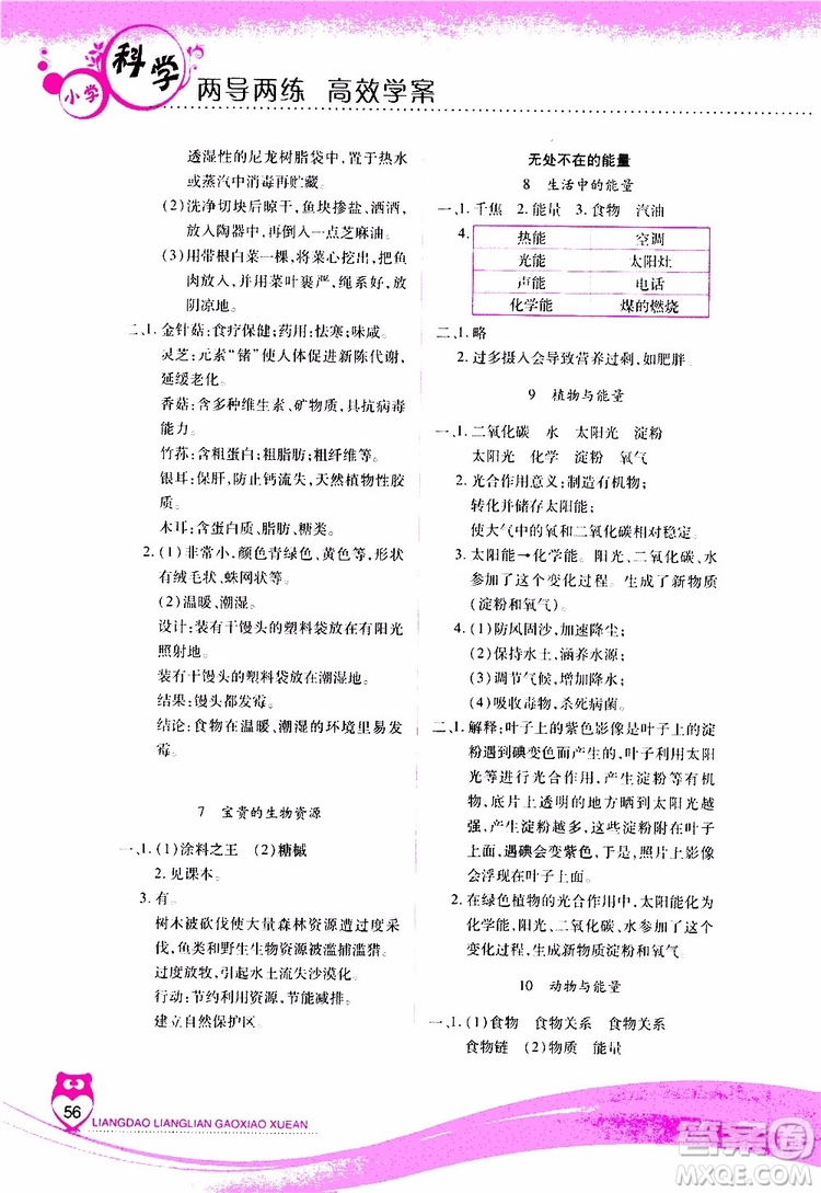 2019年新課標(biāo)兩導(dǎo)兩練高效學(xué)案科學(xué)六年級上冊河北人民版參考答案