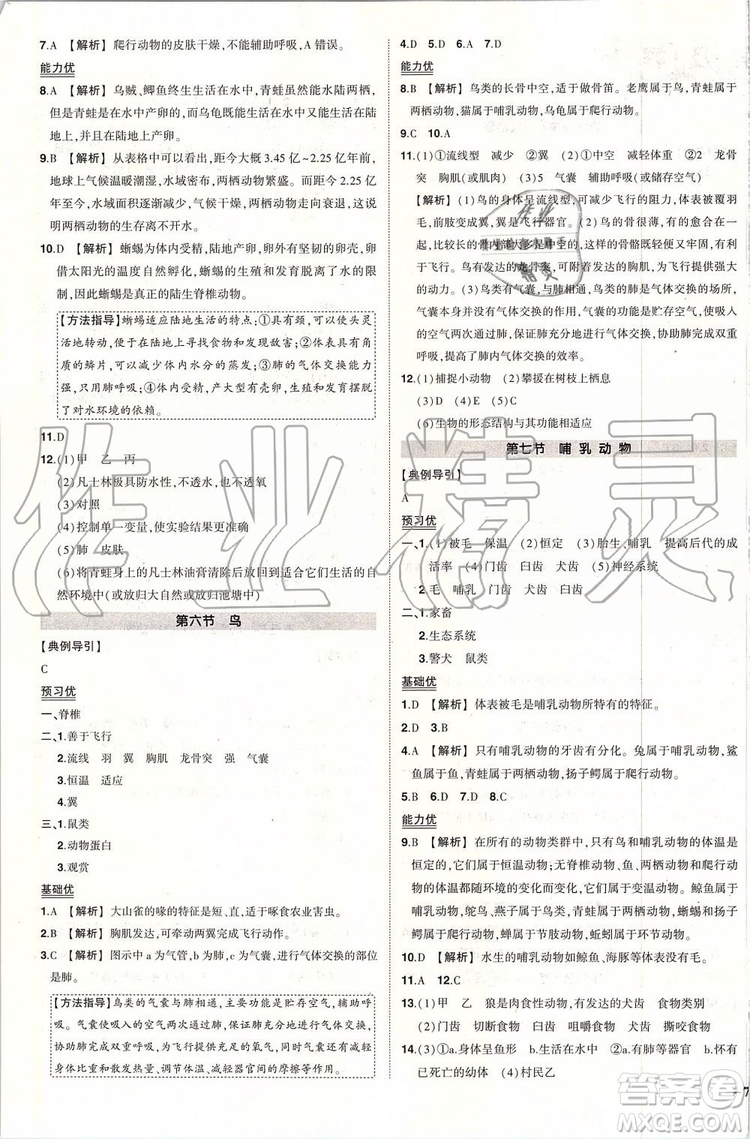 2019年?duì)钤刹怕穭?chuàng)優(yōu)作業(yè)生物八年級上冊R人教版參考答案