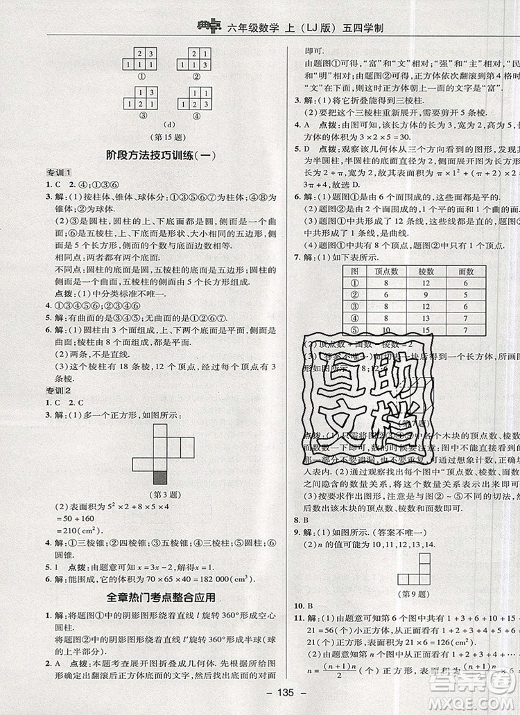 2019年綜合應(yīng)用創(chuàng)新題典中點(diǎn)六年級(jí)數(shù)學(xué)上冊(cè)魯教版參考答案