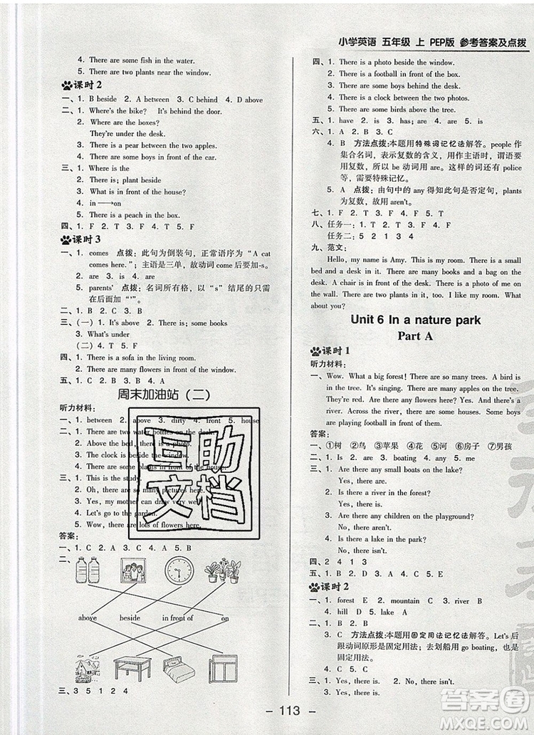 2019年綜合應用創(chuàng)新題典中點五年級英語上冊人教PEP版參考答案