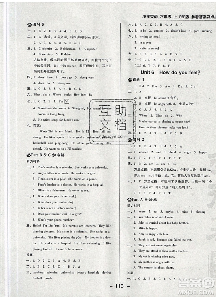 2019年綜合應(yīng)用創(chuàng)新題典中點(diǎn)六年級(jí)英語上冊(cè)人教PEP版參考答案