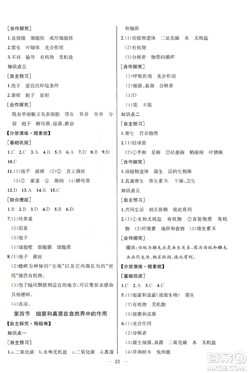 同步學(xué)歷案課時(shí)練2019八年級(jí)生物學(xué)上冊(cè)人教版答案